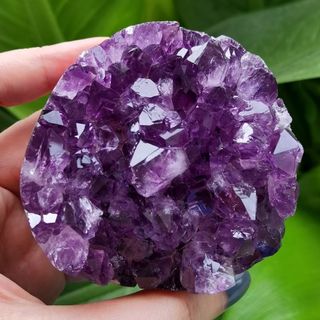 (Category: ) located in . Submitted by serenity_vibrations (Listing ID 1425353929, Image 1). Description: .
