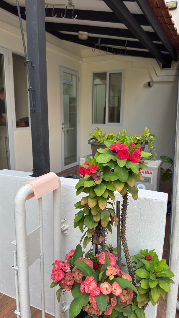 (Category: ) located in . Submitted by chaicl (Listing ID 1425391227, Image 1). Description: .