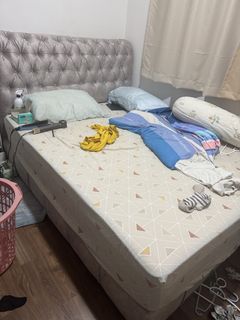 (Category: ) located in . Submitted by toi666 (Listing ID 1425293309, Image 1). Description: .