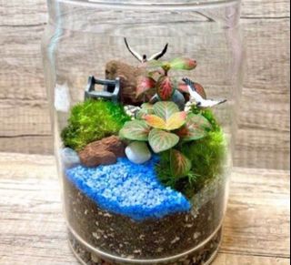 (Category: ) located in . Submitted by lushglassdoor (Listing ID 1425301609, Image 1). Description: .