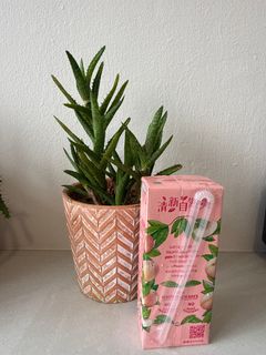 (Category: ) located in . Submitted by houseplantgurl (Listing ID 1425293334, Image 1). Description: .
