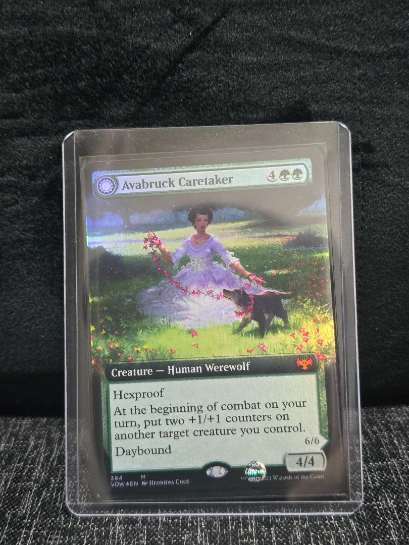 Avabruck Caretaker Borderless Foil VOW M384, Hobbies & Toys, Toys ...