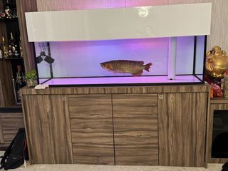 (Category: ) located in . Submitted by northangel (Listing ID 1425527283, Image 1). Description: .