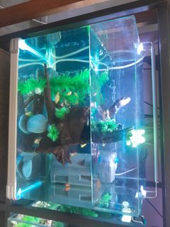 (Category: ) located in . Submitted by ryanchua1234 (Listing ID 1425485495, Image 1). Description: .