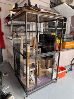 (Category: ) located in . Submitted by ratta85 (Listing ID 1425513763, Image 1). Description: .
