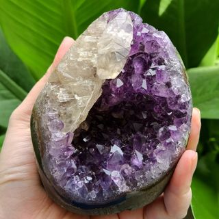 (Category: ) located in . Submitted by serenity_vibrations (Listing ID 1425513807, Image 1). Description: .