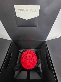 （分類：）位於 。 由 lollipok 提交（商品編號 1425448346，圖片 1）。簡介： 。