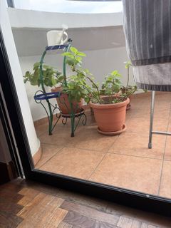 (Category: ) located in . Submitted by preethin (Listing ID 1425450383, Image 1). Description: .