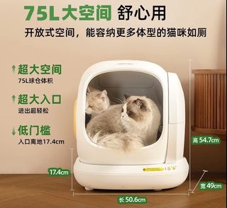 （分類：）位於 。 由 vastgem-28b9 提交（商品編號 1429505545，圖片 1）。簡介： 。