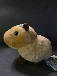 （分類：）位於 。 由 micltf 提交（商品編號 1429649843，圖片 1）。簡介： 。