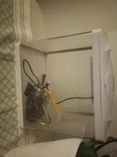 (Category: ) located in . Submitted by syahbiol (Listing ID 1429665947, Image 1). Description: .