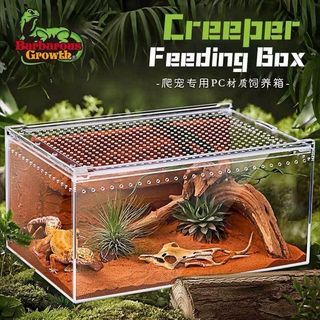 (Category: ) located in . Submitted by allthingsaquatic (Listing ID 1329719320, Image 1). Description: .