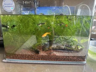 (Category: ) located in . Submitted by crazyfunguy (Listing ID 1429553144, Image 1). Description: .
