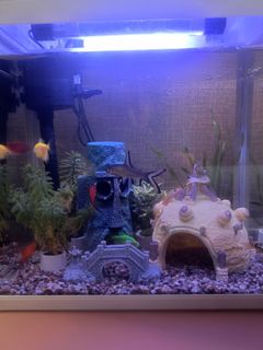 (Category: ) located in . Submitted by syahbiol (Listing ID 1429665946, Image 1). Description: .