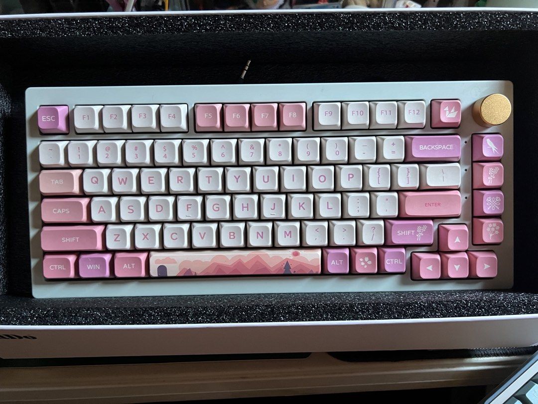DIY built 75% Mechanical Keyboard (Category: Computer Keyboard) located in San Pedro. Submitted by mamsernoodle (Listing ID 1429532862, Image 1). Description: Specs: Barebone: AKKO 5075S Blue Ash Backlit Switch: AKKO CS Switches Jelly Black (Not lubed) Keycaps: XDA Profile Condition: Lightly used RFS: decluttering, didn’t pursue the hobby of DIY keyboard building.