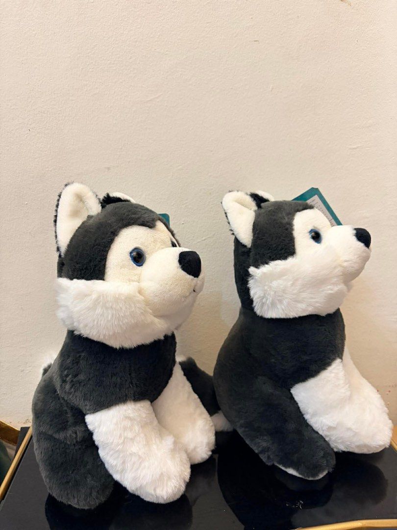 Husky Plush Toy (Category: Plushies & Soft Toys) located in Mandaluyong City. Submitted by kidssection_2891 (Listing ID 1429602340, Image 2). Description: .
