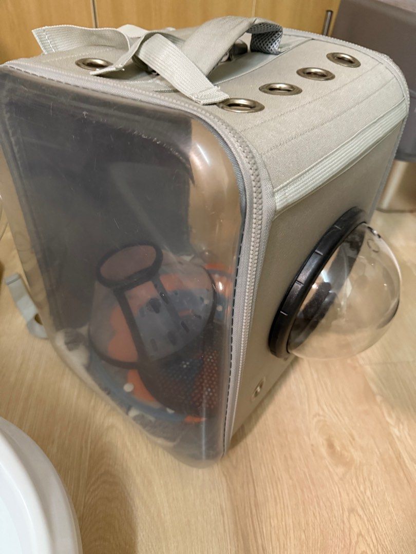 Pet Carrier Bowl Litterbox Cone all at $30 (Category: Homes & Other Pet Accessories) located in Singapore. Submitted by iamshopaholix (Listing ID 1429577222, Image 1). Description: Take all 3 at $30 Cat Carrier Cat bowl Cat litterbox Cat Cone All lightly used and in good condition Self collect at Jurong West or discuss.