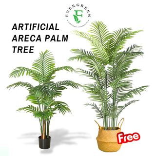 (Category: ) located in . Submitted by evergreen_gardening (Listing ID 1309926088, Image 1). Description: .