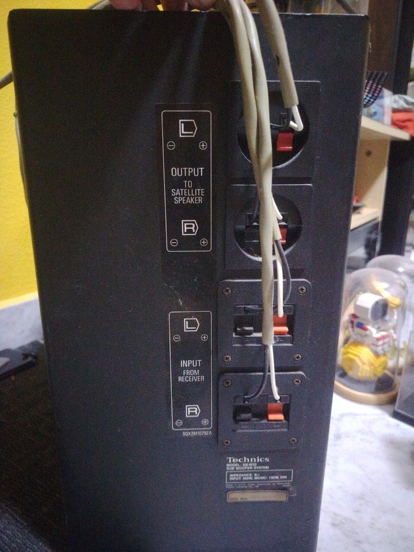 Technics Subwoofer416980322914805761