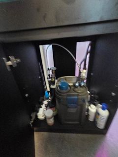 (Category: ) located in . Submitted by mj1ali (Listing ID 1431300847, Image 1). Description: .