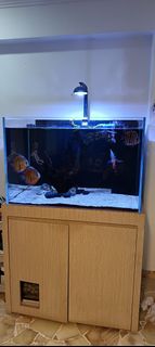 (Category: ) located in . Submitted by akmal_19 (Listing ID 1431284128, Image 1). Description: .