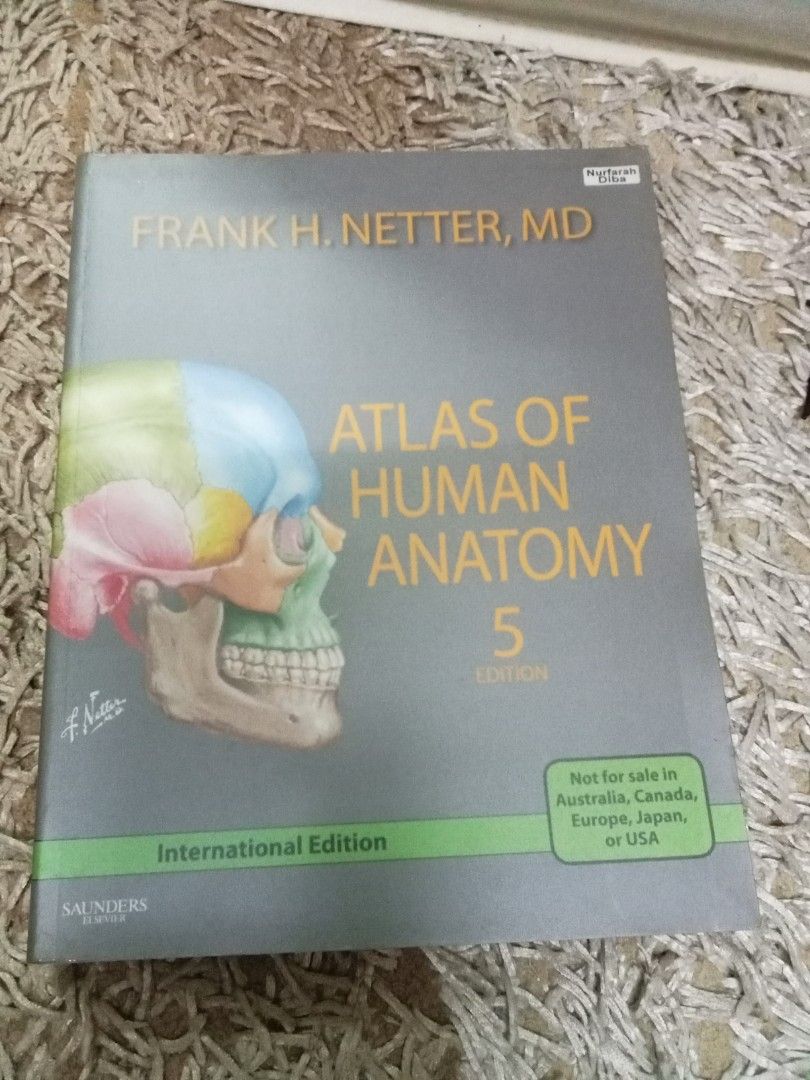 Frank H. Netter Atlas of Human Anatomy 5th Edition, Hobbies & Toys ...