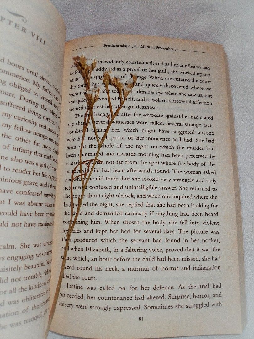 Frankenstein by Mary Shelley (Category: Storybooks) located in Paranaque City. Submitted by jamcuad (Listing ID 1431358134, Image 3). Description: Rfs: Decluttering. classic literature book mary shelley.