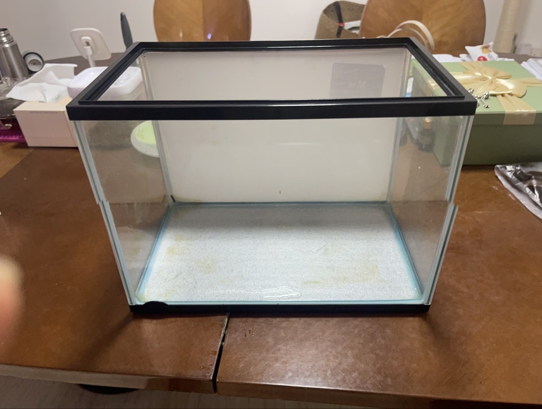 Empty Aquarium Is Good News for Shy Fish | Voice of San Diego