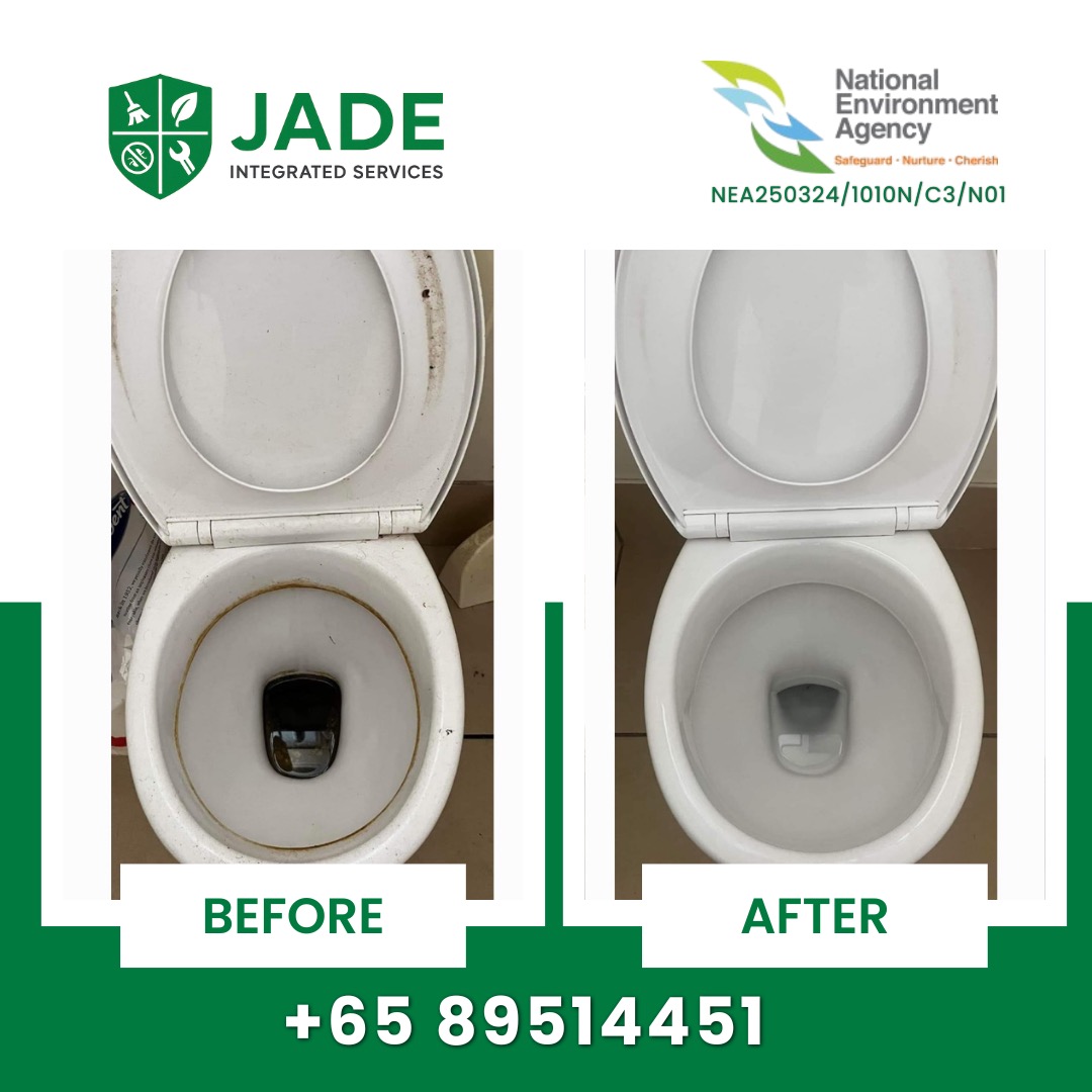 (Category: ) located in . Submitted by jadecleaningservices (Listing ID 1431357262, Image 1). Description: .