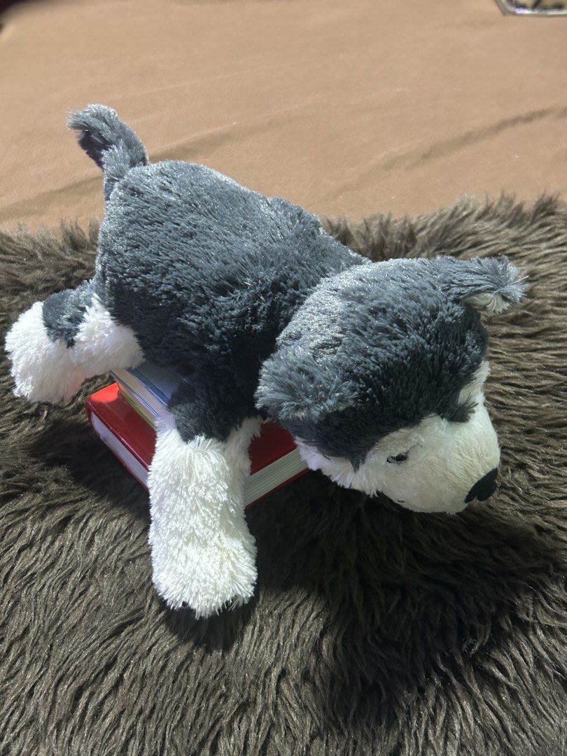 Siberian Husky plush toy (Category: Plushies & Soft Toys) located in Angeles City. Submitted by zyeplustradings (Listing ID 1431183388, Image 2). Description: Siberian Husky plush toy Dimensions: Available in sizes approximately 26 cm (10 ¼”) or 57 cm (22 ½”). Features: Designed with embroidered eyes and plush fabric suitable for children. Material: Comfy, soft materials intended for lasting play and hugs.