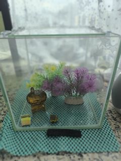 （分類：）位於 。 由 raduga 提交（商品編號 1431214873，圖片 1）。簡介： 。