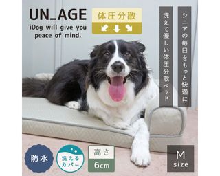 （分類：）位於 。 由 hapishopping. 提交（商品編號 1431231837，圖片 1）。簡介： 。