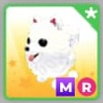 (Category: ) located in . Submitted by goldenriver_0af62f (Listing ID 1431488956, Image 1). Description: .