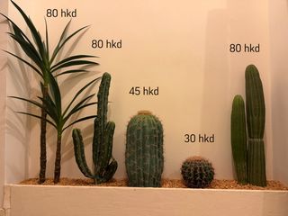 （分類：）位於 。 由 drewbeas83960 提交（商品編號 1431416567，圖片 1）。簡介： 。