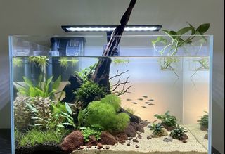 (Category: ) located in . Submitted by built_to_nature (Listing ID 1431431014, Image 1). Description: .