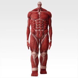 (Category: ) located in . Submitted by toysforal (Listing ID 1431473162, Image 1). Description: .