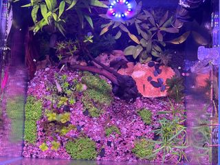 (Category: ) located in . Submitted by sushanth123 (Listing ID 1431382908, Image 1). Description: .