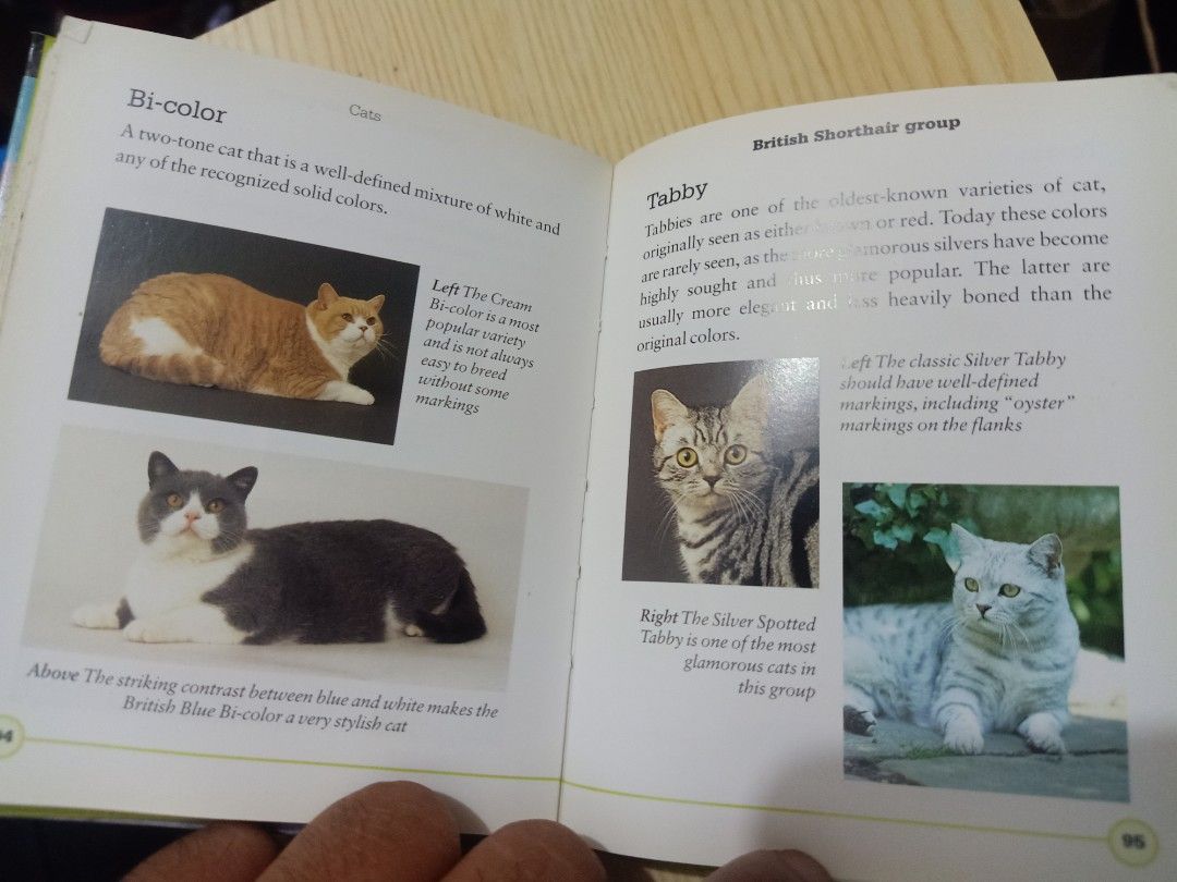 Pocket Reference Book: Cats by Paddy Cutts (Category: Storybooks) located in Las Pinas. Submitted by the_recycle_shop (Listing ID 1431540611, Image 2). Description: - Pocket-sized cat reference book - Covers various cat breeds (Bi-color, British Shorthair, etc.) - Includes color photographs - Provides breed descriptions - Perfect for cat enthusiasts.