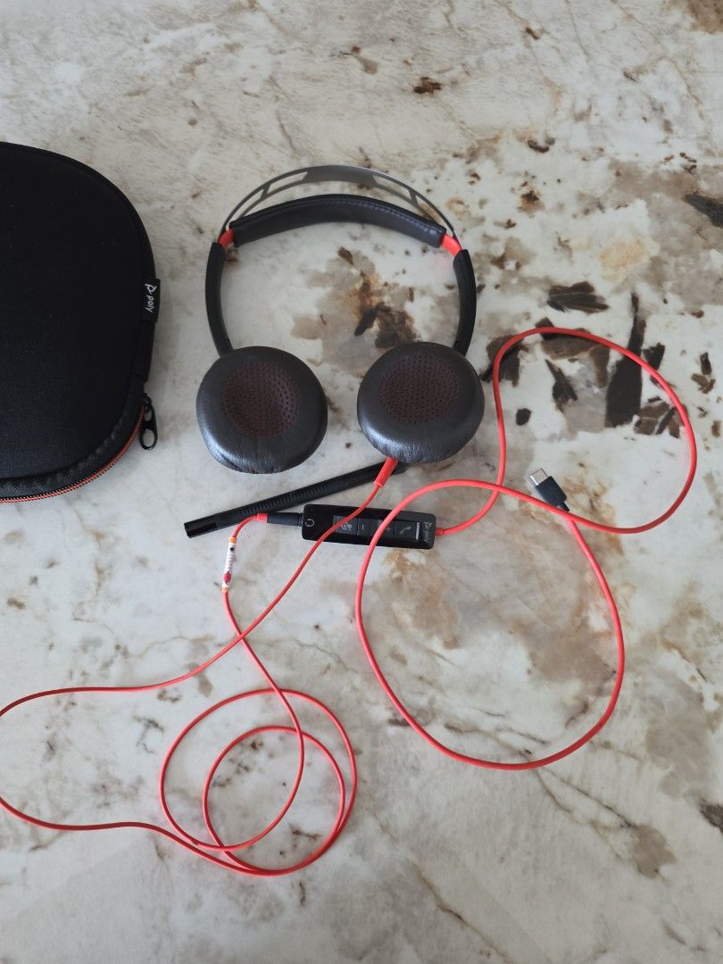 Poly Headset with Case424240701810954241