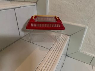 (Category: ) located in . Submitted by ecobotanystudio (Listing ID 1431534018, Image 1). Description: .