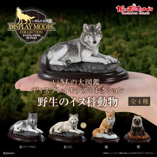 由 neromer (刊登 ID 1431724684，圖片 1) 提交，位於 的 (類別：)，說明：。