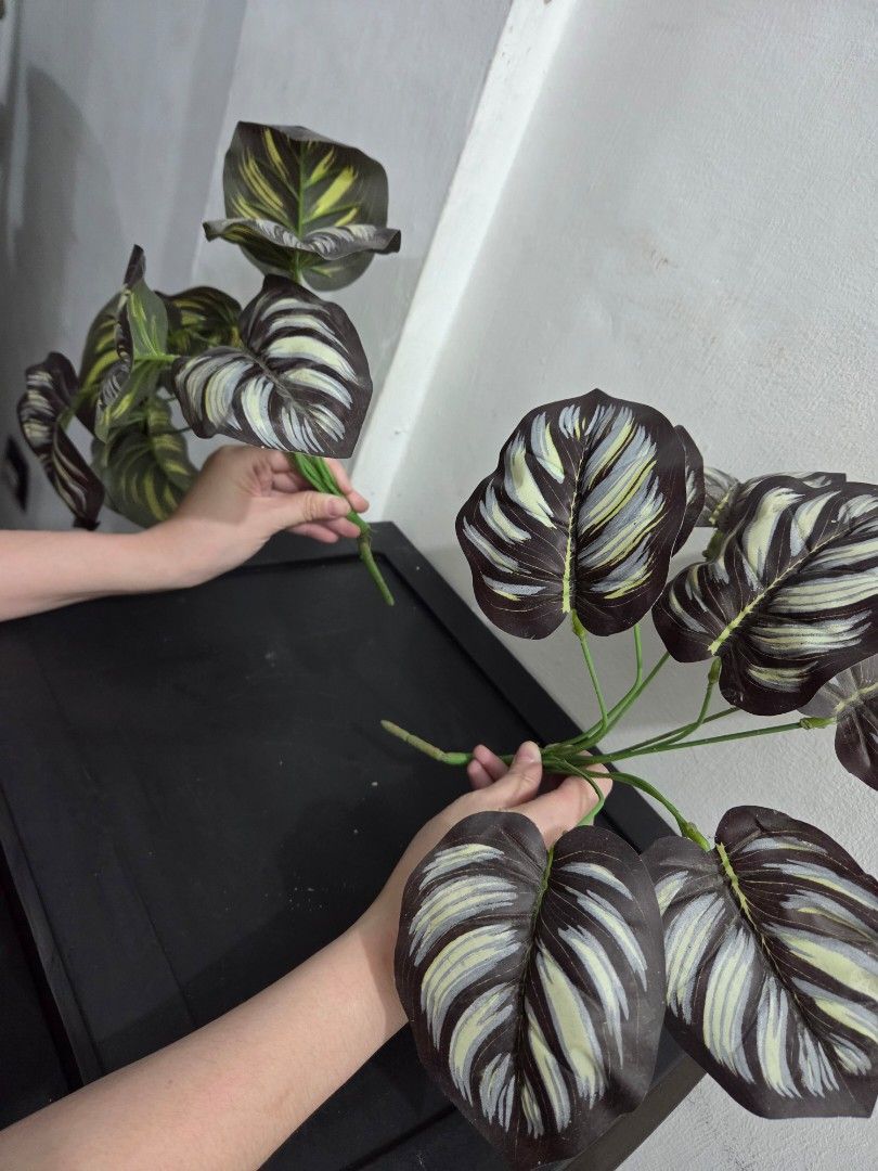 Artificial Mix Plants (Category: Plants & Seeds) located in Pasig City. Submitted by ogayonvanessa.1 (Listing ID 1431627671, Image 2). Description: - Artificial Mix plants with dark green and white striped leaves. - Low-maintenance and realistic. - Great for shelves, tables, and offices. - Features multiple leaves and stems for a full look..