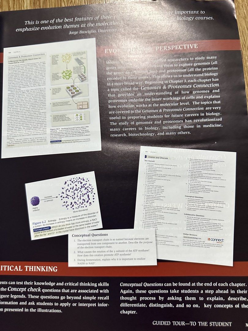 Biology Book Brooker (Category: Textbooks) located in Angeles City. Submitted by bawaskalatmuna (Listing ID 1431652111, Image 2). Description: .