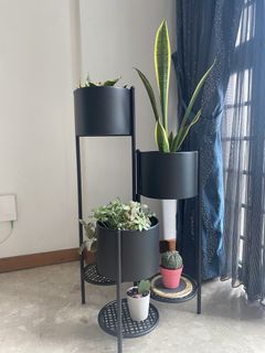 (Category: ) located in . Submitted by msgj_mum (Listing ID 1431608016, Image 1). Description: .
