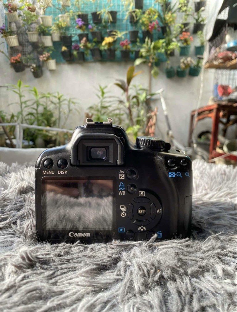 CANON EOS 1000D (Category: Cameras) located in Manila. Submitted by ascndntmnl (Listing ID 1431688778, Image 3). Description: Most budget professional DLSR Camera that you can buy especially if you know how to color grade Rfs: decluttering.