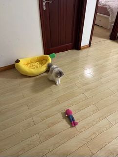 (Category: ) located in . Submitted by takealook27 (Listing ID 1431765483, Image 1). Description: .