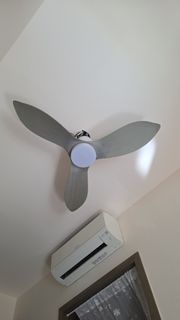 (Category: ) located in . Submitted by ms_oledi (Listing ID 1431601521, Image 1). Description: .