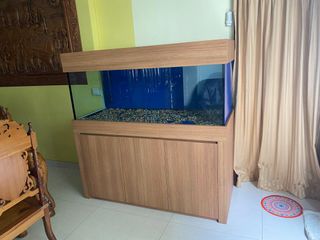 (Category: ) located in . Submitted by football_ (Listing ID 1431720127, Image 1). Description: .