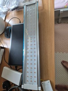 (Category: ) located in . Submitted by takashinzy (Listing ID 1431665152, Image 1). Description: .
