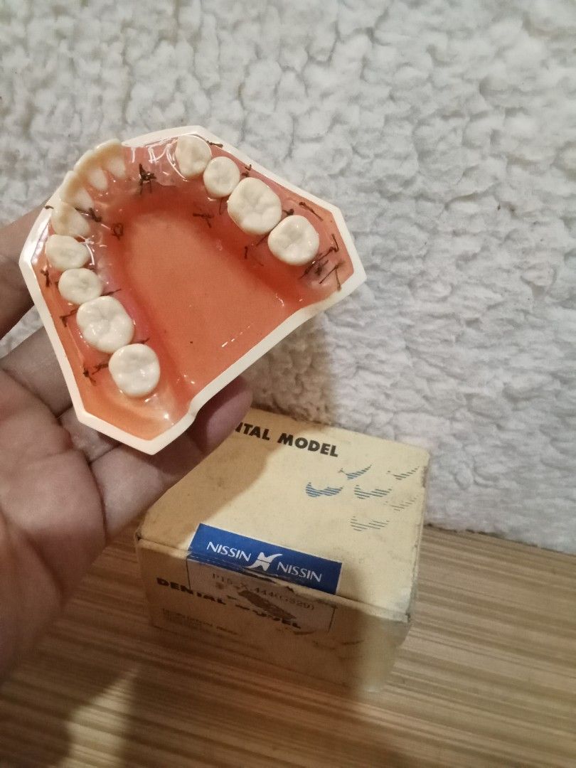 Nissin Dental Model (Category: Medical Supplies & Tools) located in Bocaue. Submitted by marajapansurplus (Listing ID 1431602580, Image 1). Description: - Nissin Dental Model - Includes original box - Features teeth with sutures - Box marked with Nissin logo and "Dental Model".
